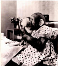 Monkey Tea Party 1950s Vintage Retro Advert Poster