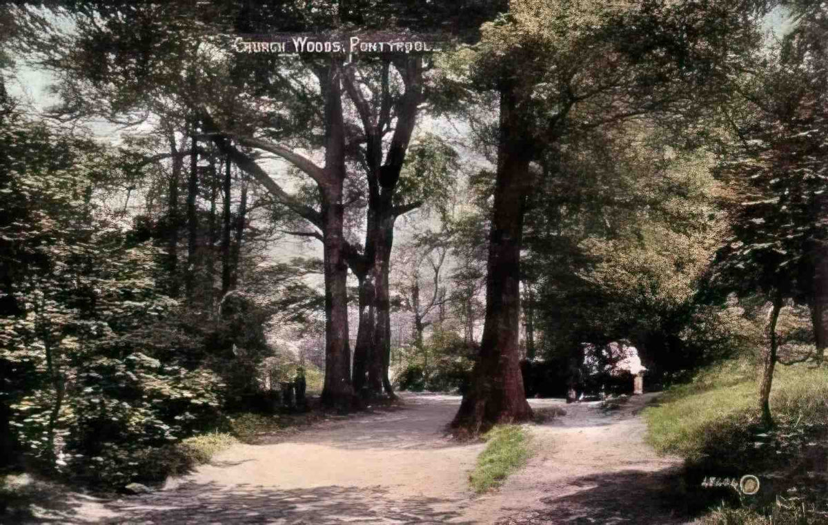 Monmouthshire Pontypool Church Woods 1900's Vintage A4 Photo Print