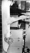 Monroe Marilyn Seven Year Itch The 16 A4 Photo Print