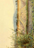 Moore John S The Tanganyika Problem 1903 Alluvial Flats Lake Nyassa A4 Photo Print