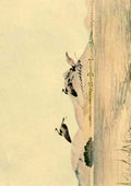 Moore John S The Tanganyika Problem 1903 Lake Shirwa A4 Photo Print
