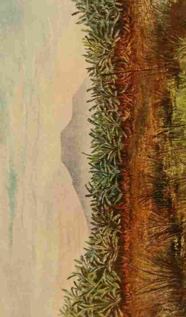 Moore John Tanganyika 1903 Active cone of Kirunga Cha Yongo A4 Photo Print