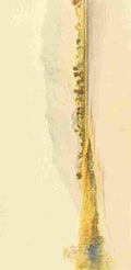 Moore John Tanganyika 1903 Morumbala Mountain A4 Photo Print