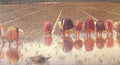 Morbelli Angelo Italian 1853 19192 Art A4 Photo Print