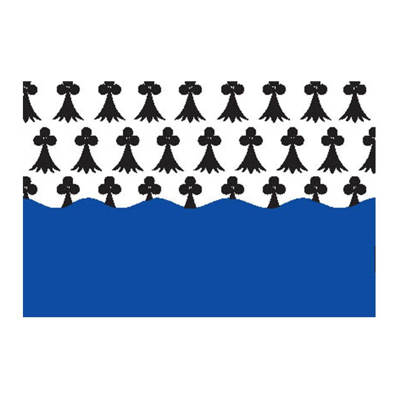 Morbihan Dep Flag N2967 A4 Photo Print