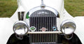 Morgan Bonnet 2424 Grille A4 Photo Print