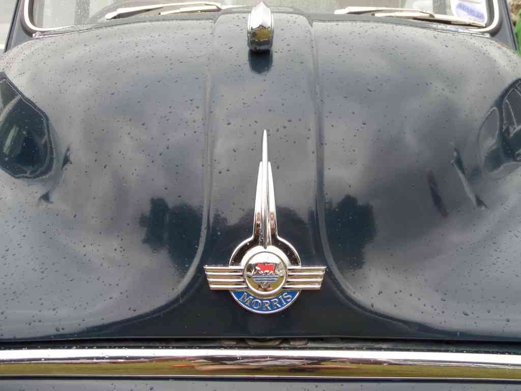 Morris Bonnet 2395 Grille A4 Photo Print