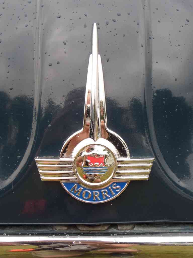 Morris Bonnet 2396 Grille A4 Photo Print