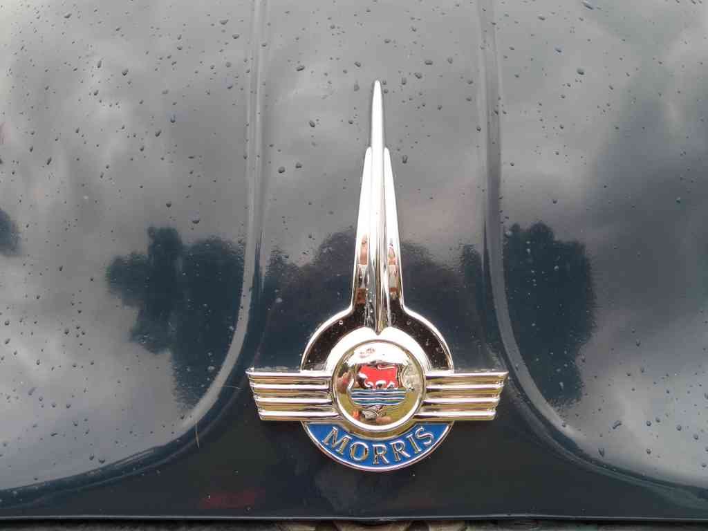 Morris Bonnet 2397 Grille A4 Photo Print