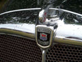 Morris Bonnet 2591 Grille A4 Photo Print