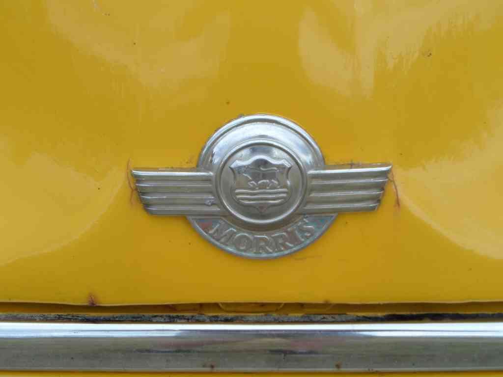 Morris Bonnet 2642 Grille A4 Photo Print
