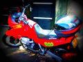 Moto Guzzi Quota 1000 1995 1 motorbike A4 Photo Print