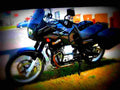 Moto Guzzi Quota 1100 ES 2000 6 motorbike A4 Photo Print