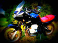 Moto Guzzi Quota 1100 ES 2001 1 motorbike A4 Photo Print