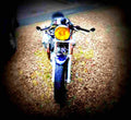 Moto Guzzi Sport 1100 1996 2 motorbike A4 Photo Print