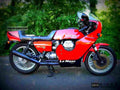Moto Guzzi V 1000 Le Mans II 1981 3 motorbike A4 Photo Print