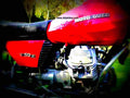 Moto Guzzi V 50 1979 1 motorbike A4 Photo Print