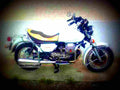 Moto Guzzi V 50 C 1982 2 motorbike A4 Photo Print