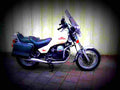 Moto Guzzi V 65 1982 5 motorbike A4 Photo Print