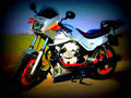 Moto Guzzi V 65 II 1987 5 motorbike A4 Photo Print