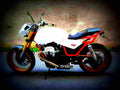 Moto Guzzi V 75 1986 2 motorbike A4 Photo Print