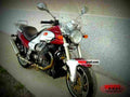 Moto Guzzi V10 Centauro GT 2000 6 motorbike A4 Photo Print