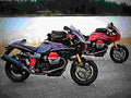 Moto Guzzi V11 Le Mans 2004 3 motorbike A4 Photo Print