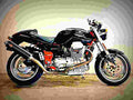Moto Guzzi V11 Sport 2000 6 motorbike A4 Photo Print