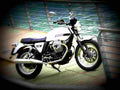 Moto Guzzi V7 750cc 5 motorbike A4 Photo Print