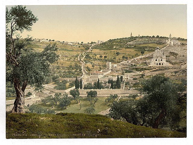 Mount of Olives and Gethsemane Jerusalem Vintage A4 Photo Print