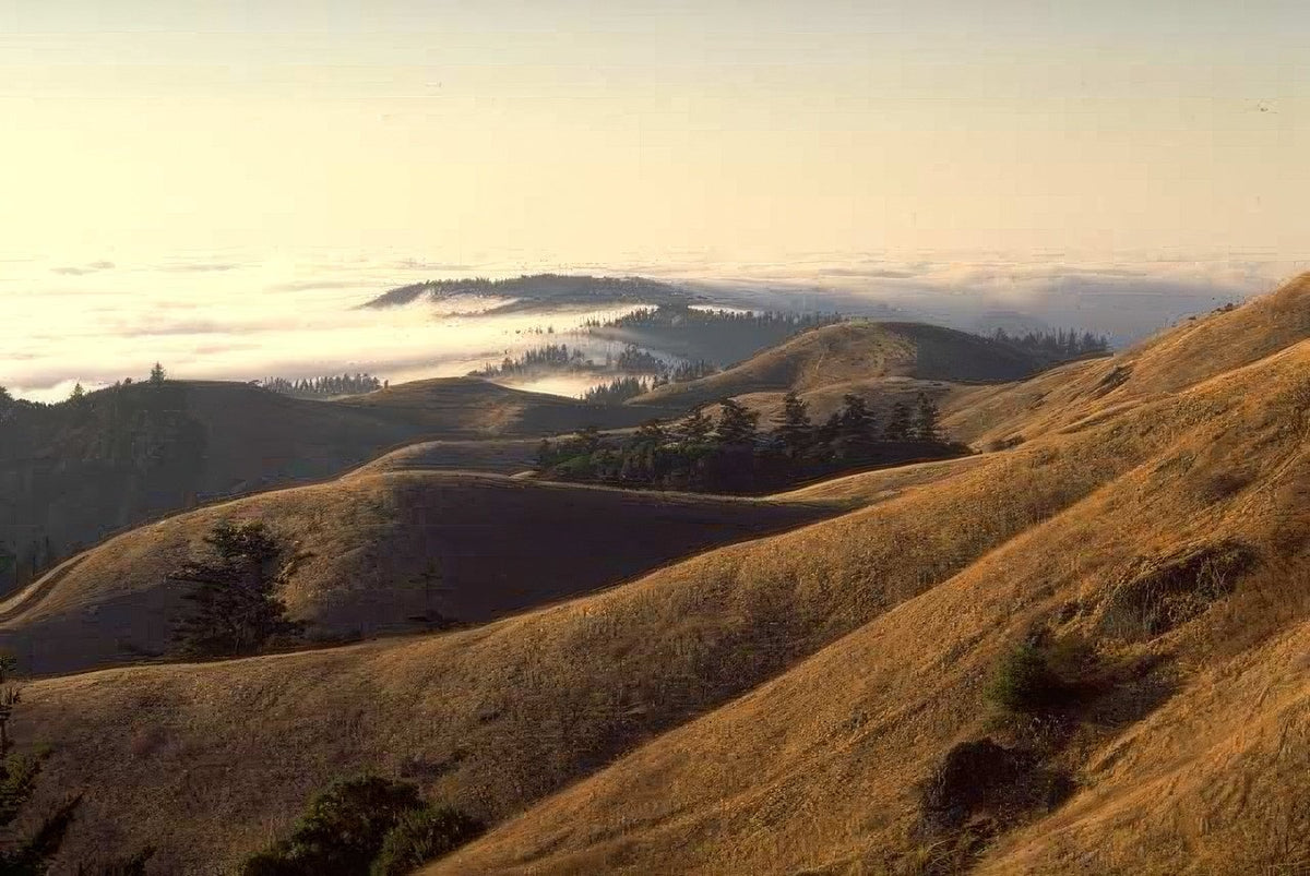 Mountain Scene Coastal Hills Oregon A4 Photo Print