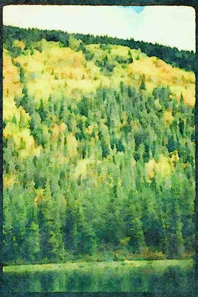Mountains 114077 Fall Aspens Change Color Around Lakeshore A4 Limited Edition Watercolour Print