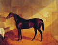 Mr Johnstones Charles Xii In A Stable A4 Photo Print