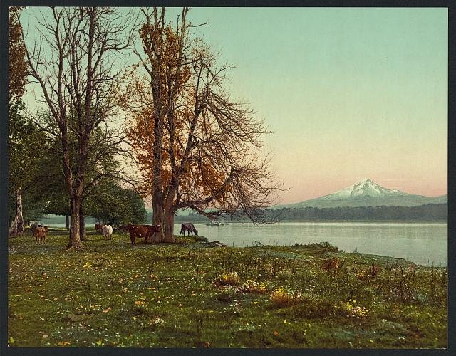 Mt Hood from the Columbia River Vintage A4 Photo Print
