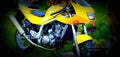 MuZ Kobra 850 1996 1 600x284 motorbike A4 Photo Print