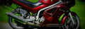 MuZ Skorpion Tour 1999 1 825x284 motorbike A4 Photo Print