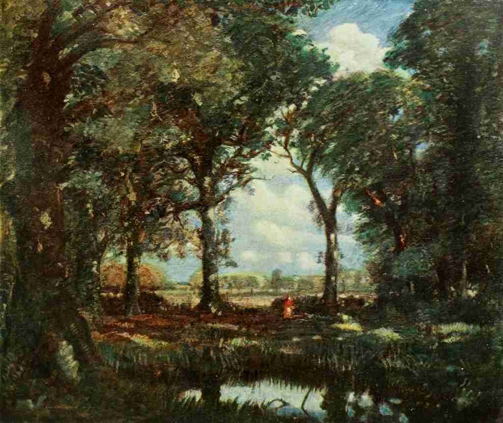 Muirhead D 1867 1930 International Studio 1913 A Woodland Pool A4 Photo Print