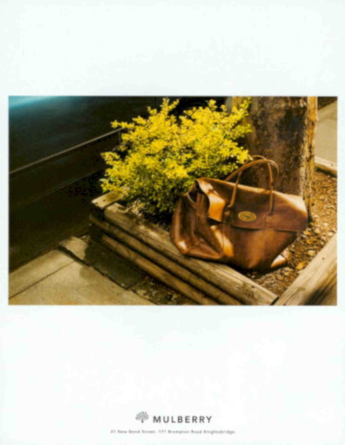 Mulberry Tote Bag Vintage Retro Advert Poster A4 Photo Print