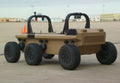 Mule 10 A4 Photo Print