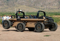 Mule 11 A4 Photo Print