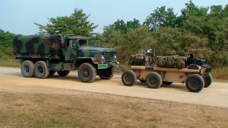 Mule 12 A4 Photo Print