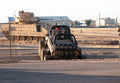 Mule 6 A4 Photo Print