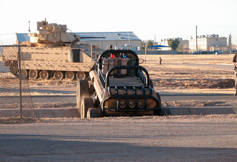 Mule 6 A4 Photo Print