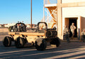 Mule 7 A4 Photo Print