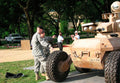 Mule 8 A4 Photo Print
