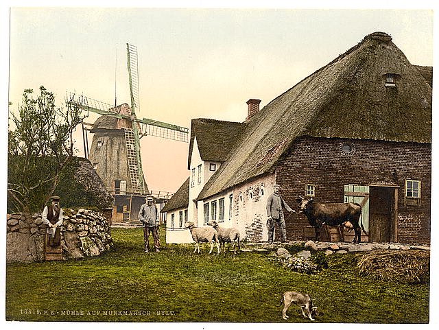 Munkmarsch I Sylt Schleswig Holstein Vintage A4 Photo Print