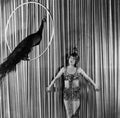 Murray Mae Peacock Alley 2 film star poster A4 Photo Print
