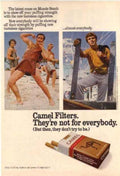 Muscle Beach Camel Vintage Retro Advert Ads A4 Photo Print