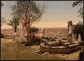 Museum garden Carthage Vintage A4 Photo Print