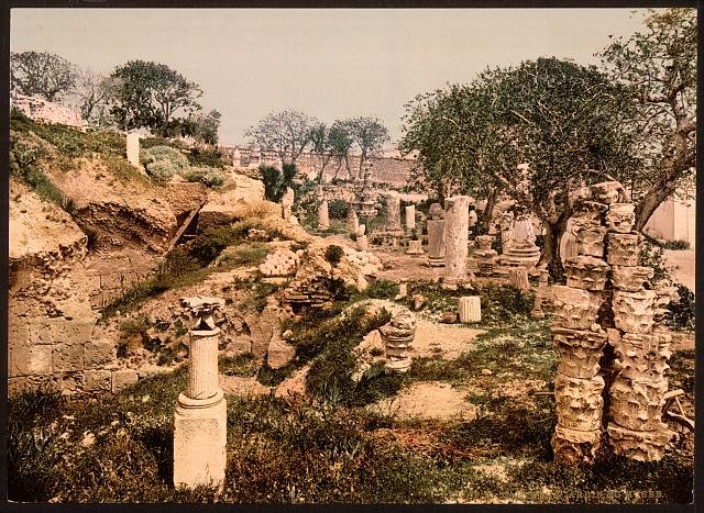 Museum garden II Carthage Vintage A4 Photo Print